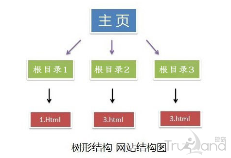 网站树形结构